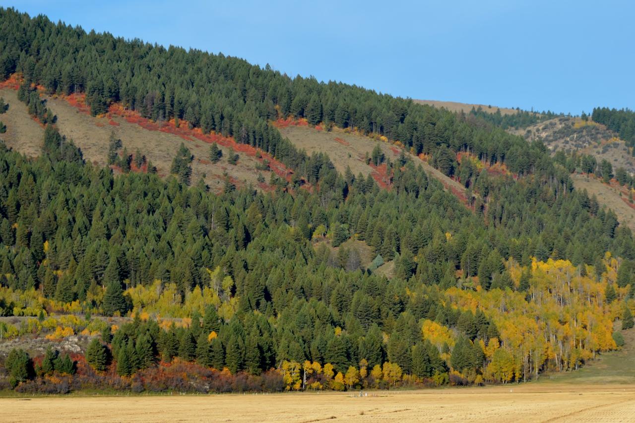 Sleepy J Cabins - thumb 28