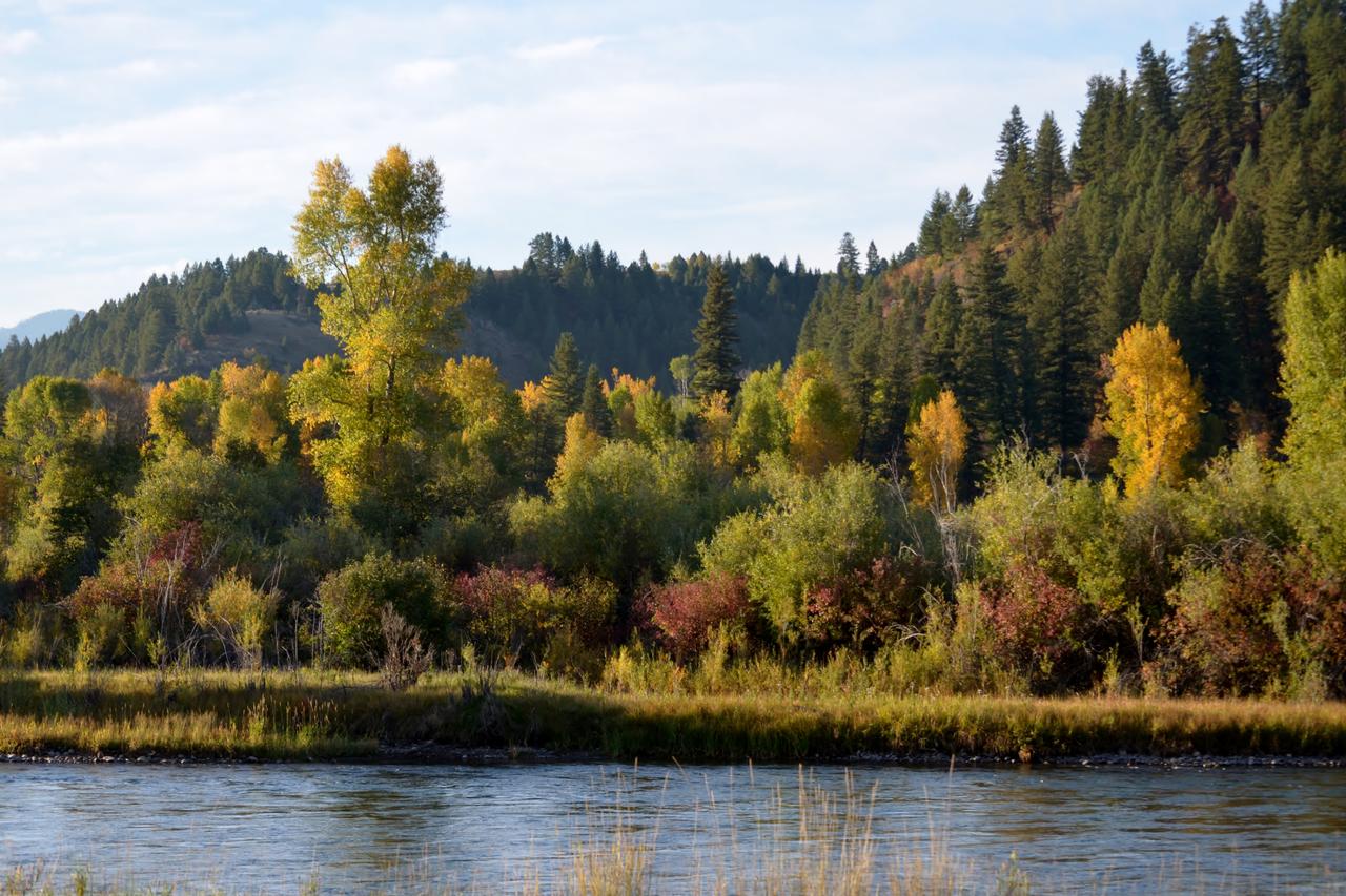 Sleepy J Cabins - thumb 26