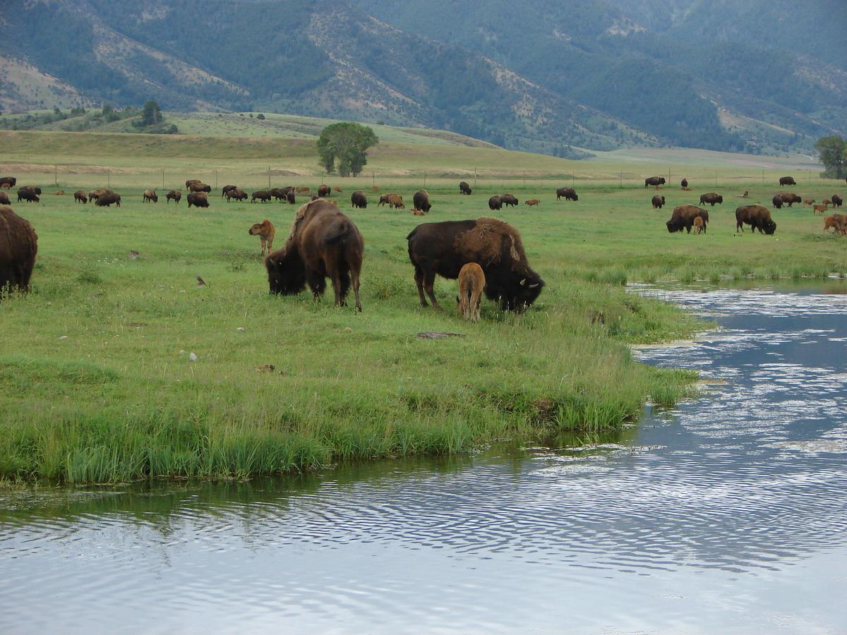 Sleepy J Cabins - thumb 3