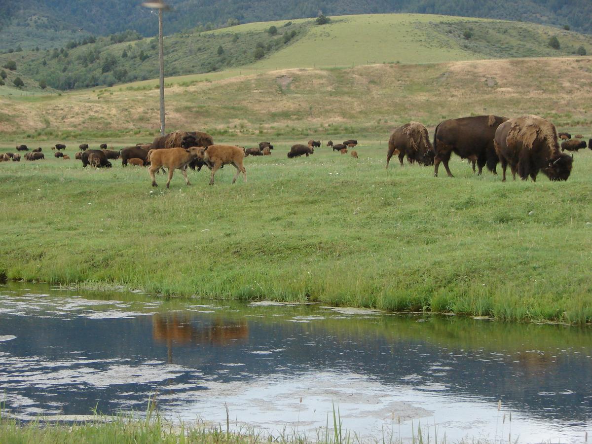 Sleepy J Cabins - thumb 24