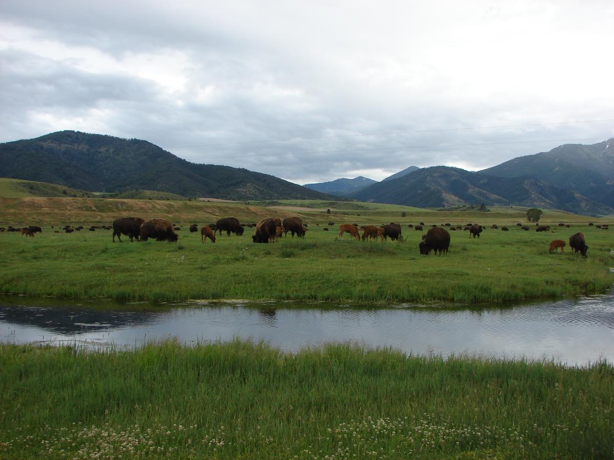 Sleepy J Cabins - thumb 23