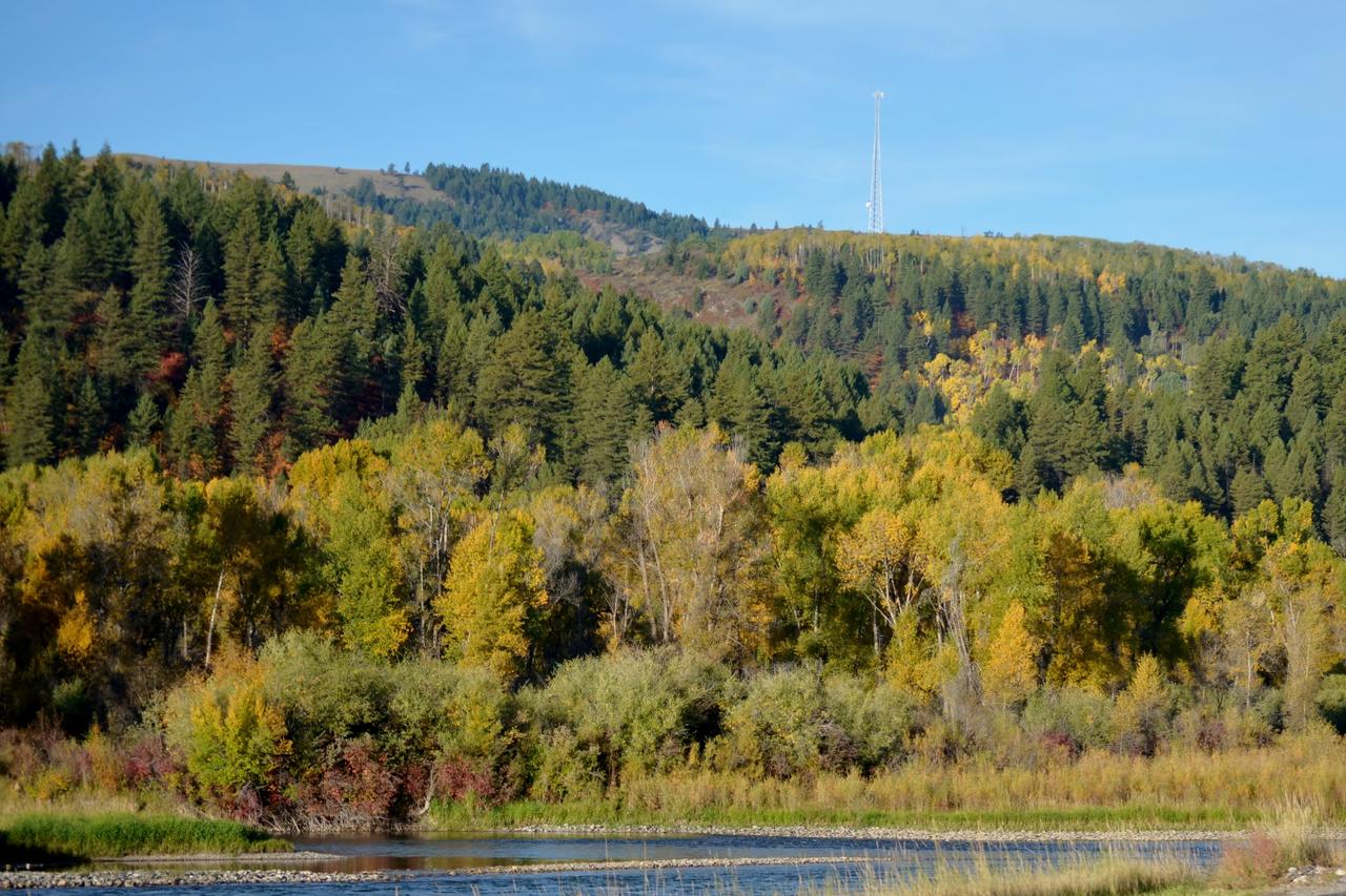 Sleepy J Cabins - thumb 27