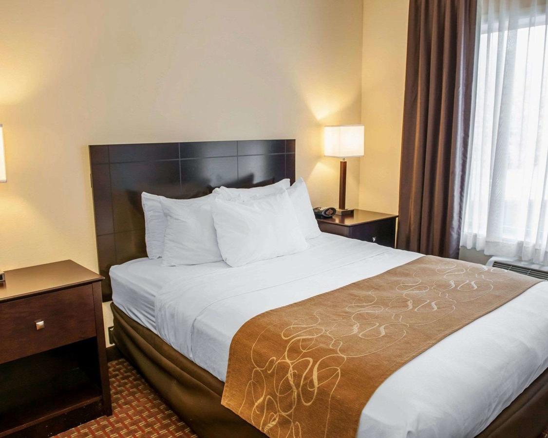 Comfort Suites South - thumb 10