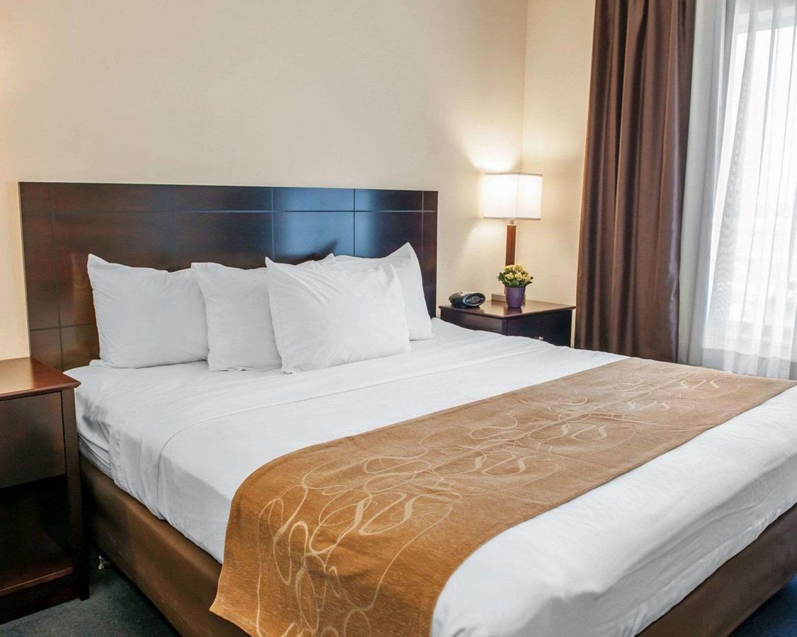 Comfort Suites South - thumb 14
