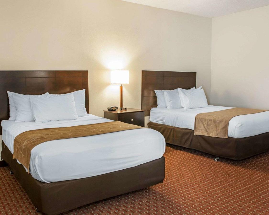 Comfort Suites South - thumb 8