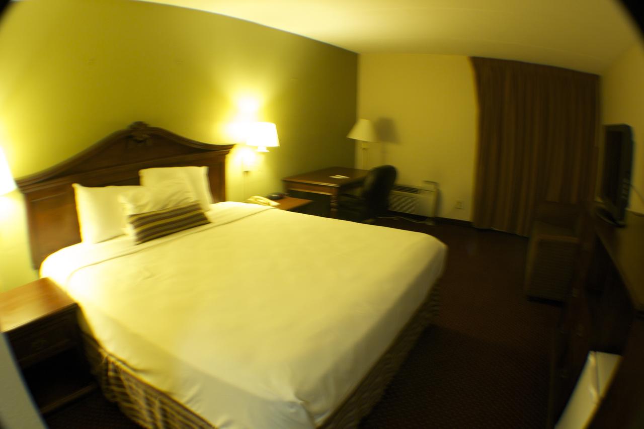 The Garden Inn - thumb 7