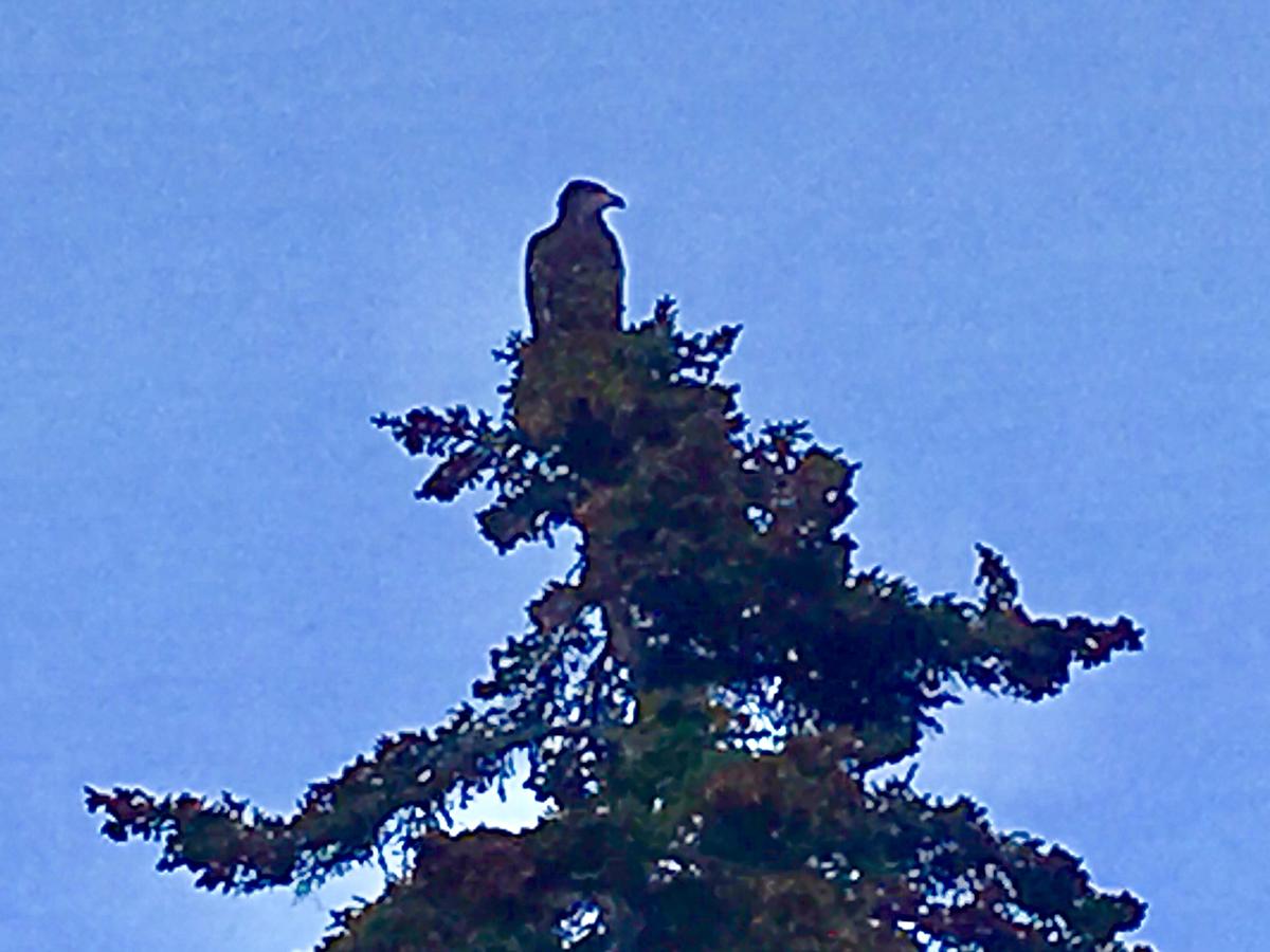 Centerview - thumb 36