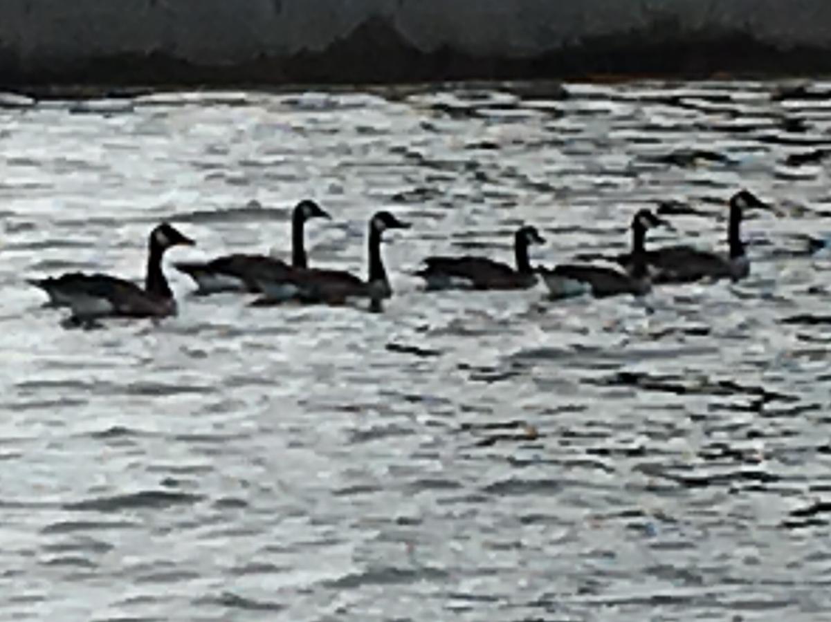 Centerview - thumb 22