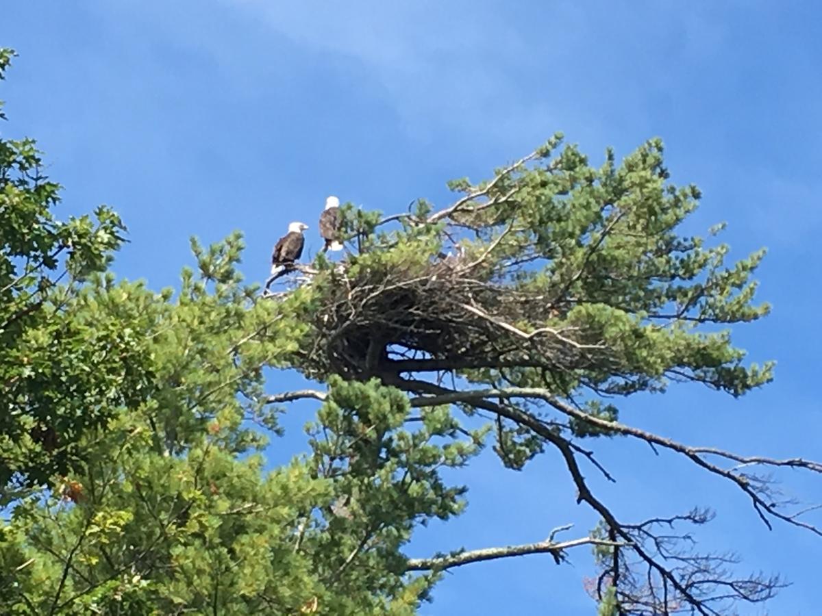 Centerview - thumb 35