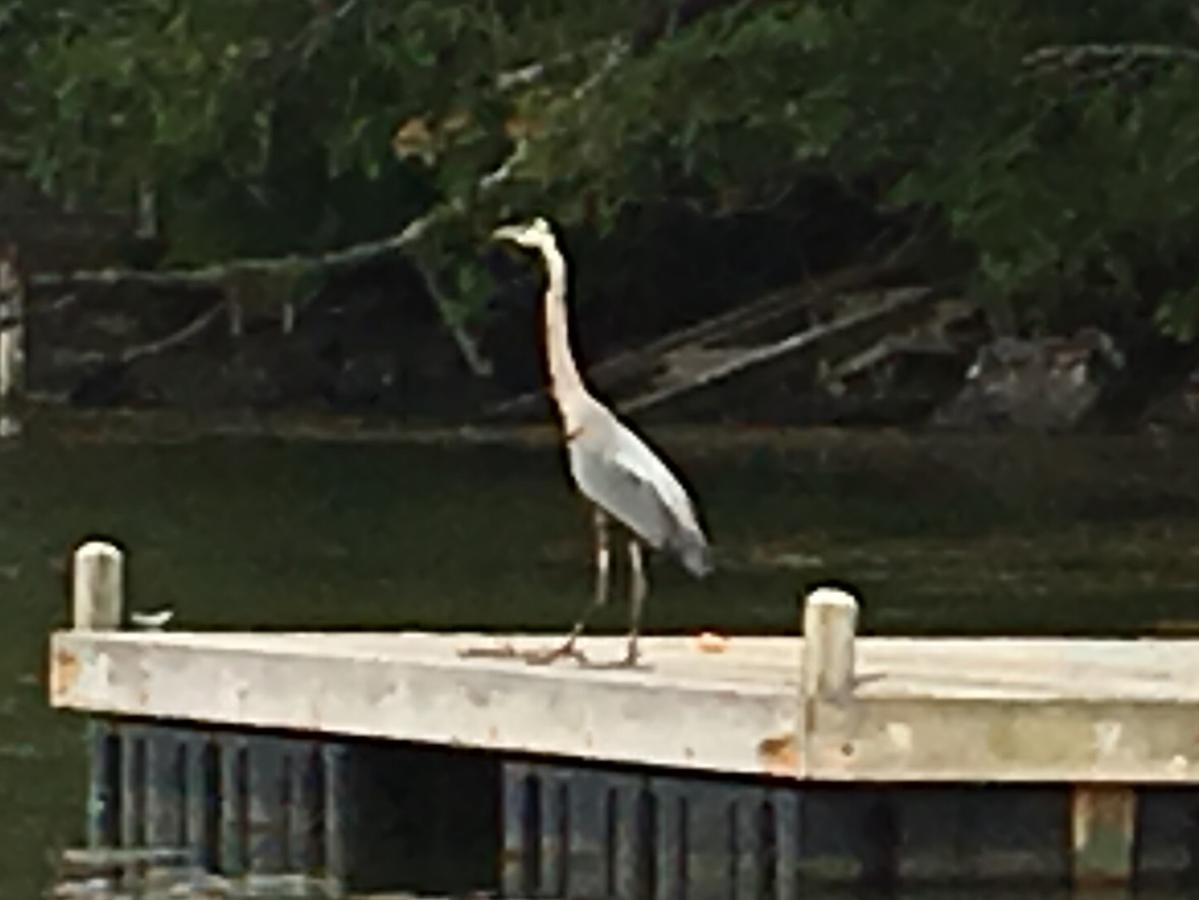 Centerview - thumb 12