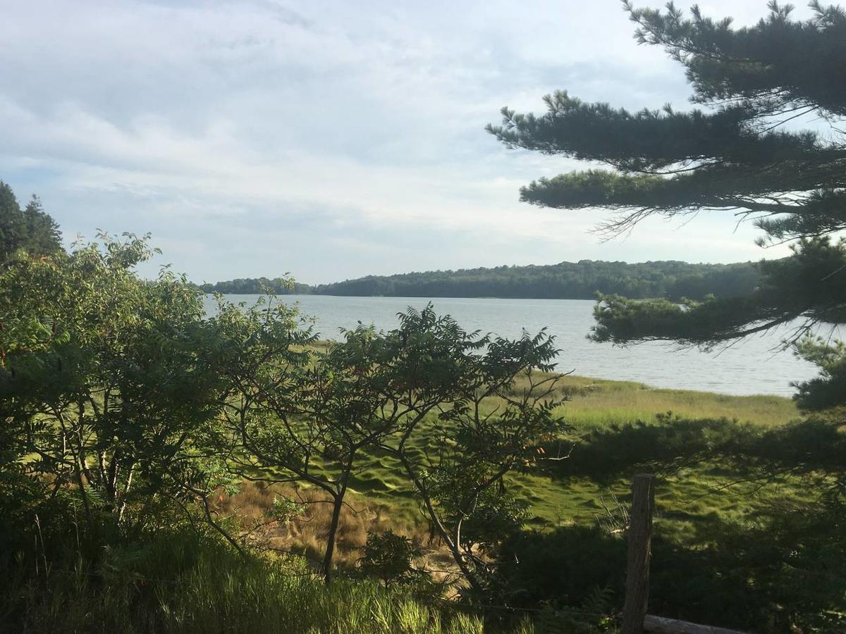 Tentrr - Widgeon Cove - thumb 6