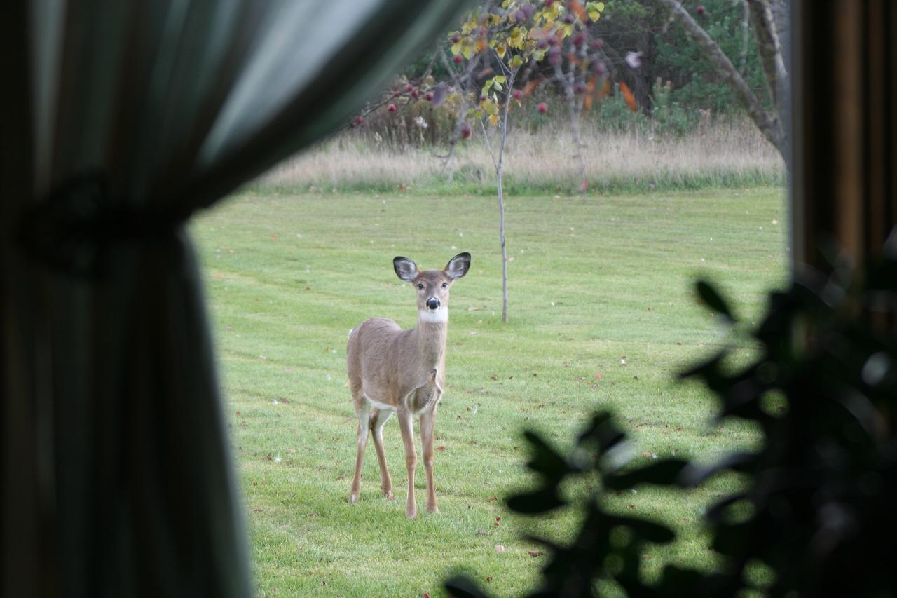 Sweetfern Inn - thumb 24