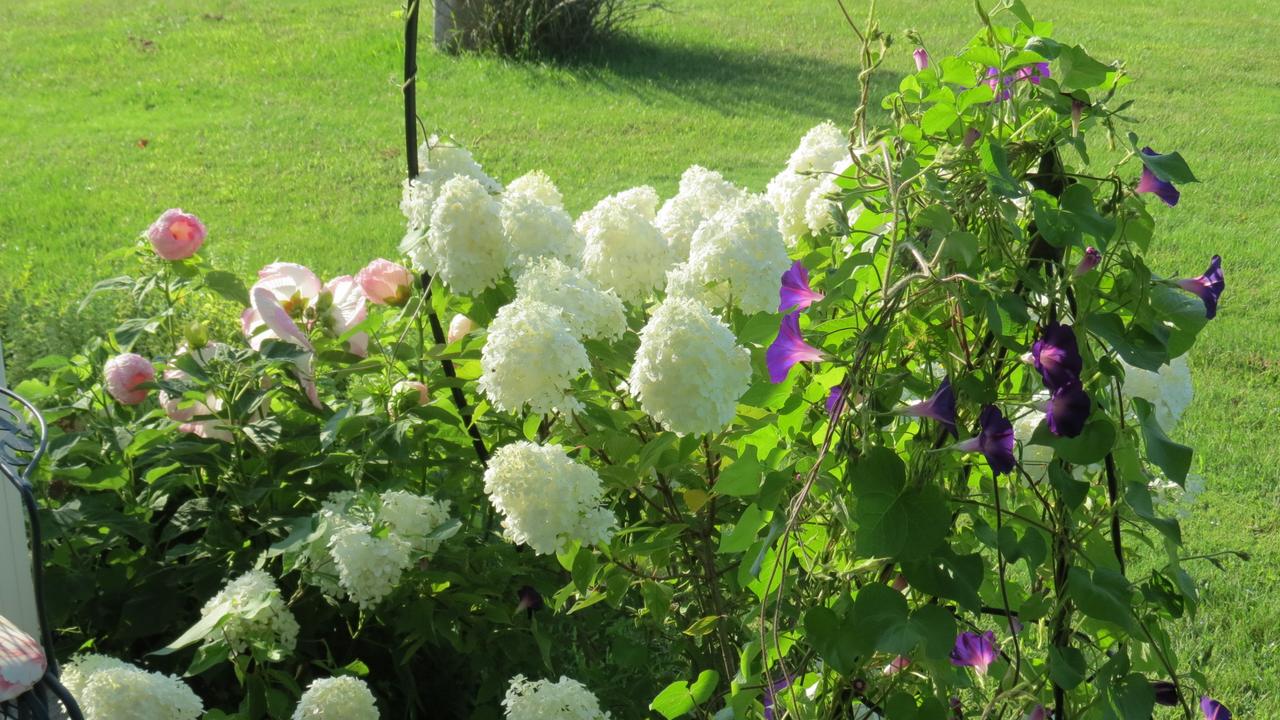 Sweetfern Inn - thumb 11