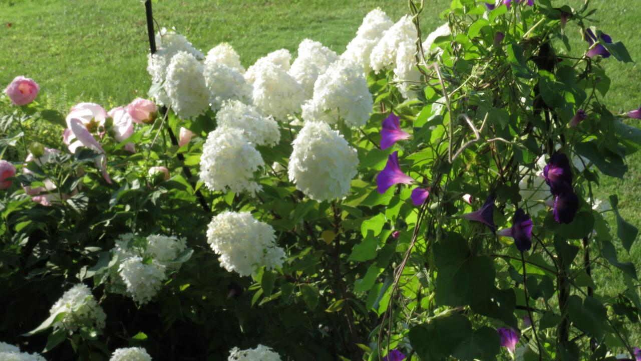 Sweetfern Inn - thumb 22