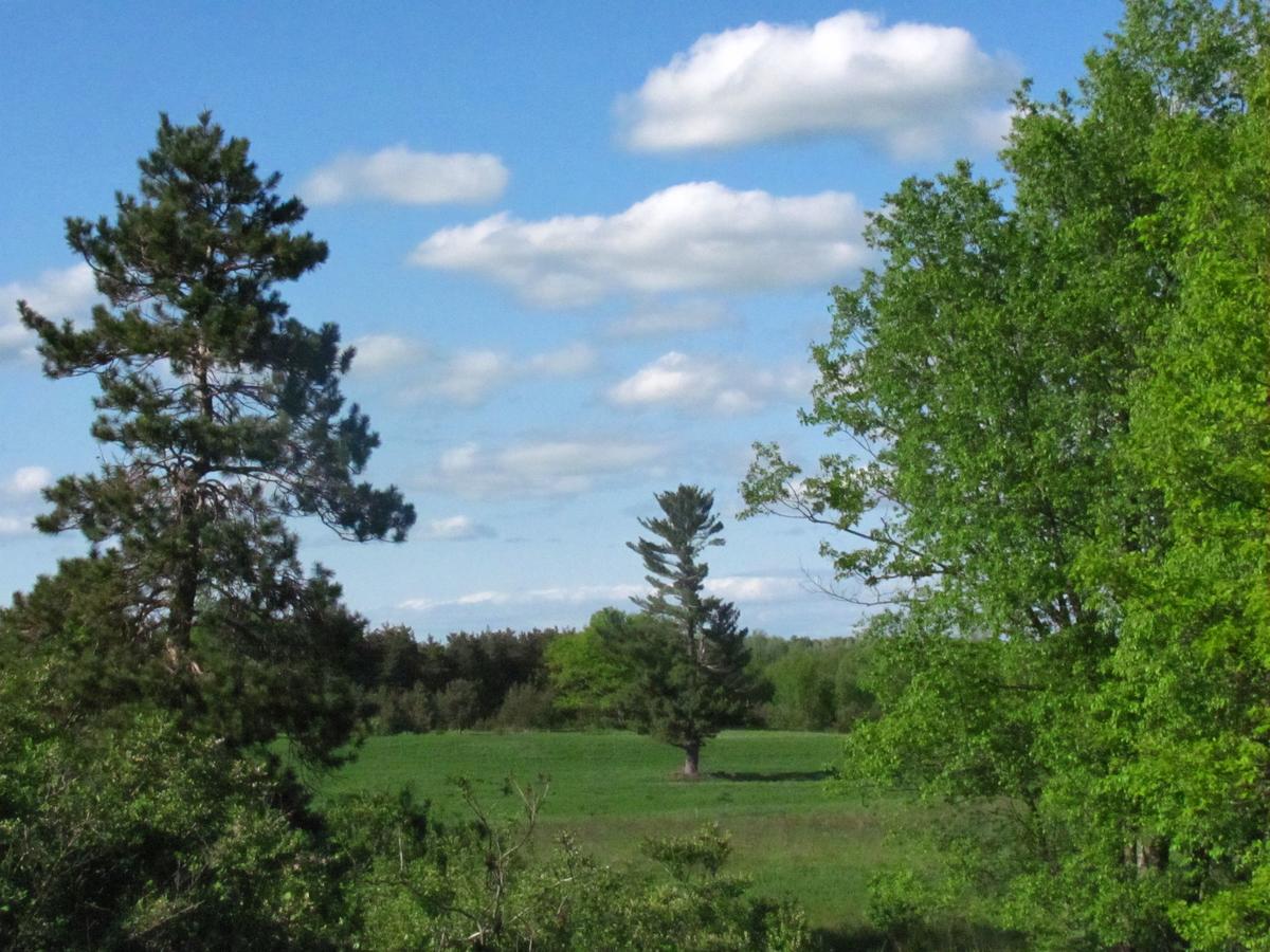 Sweetfern Inn - thumb 25