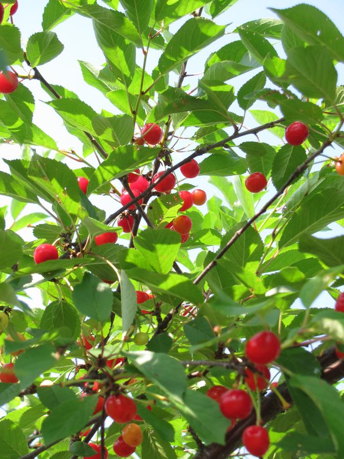 Sweetfern Inn - thumb 27