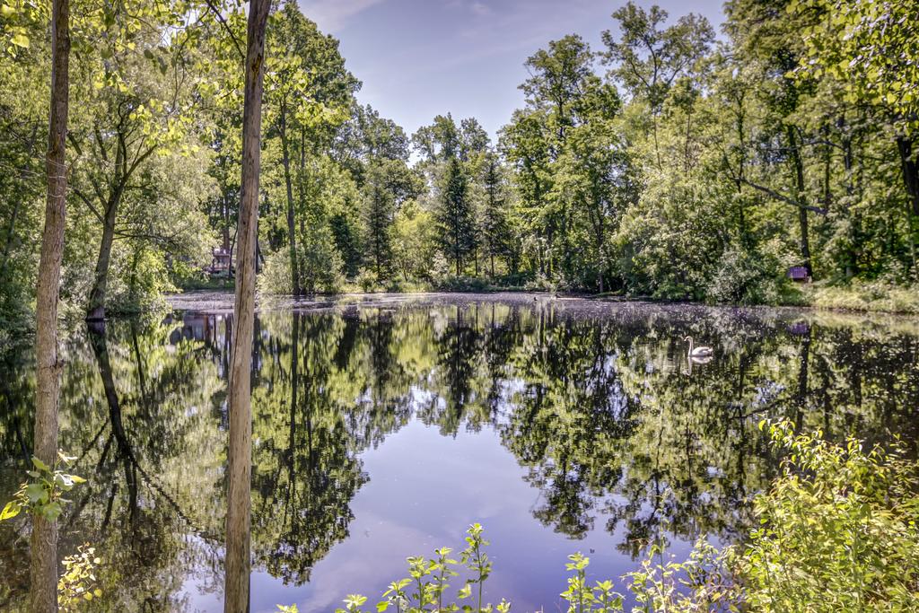 Heron Pointe Guest House - thumb 1