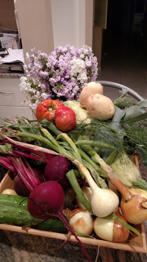 Heron Pointe Guest House - thumb 17