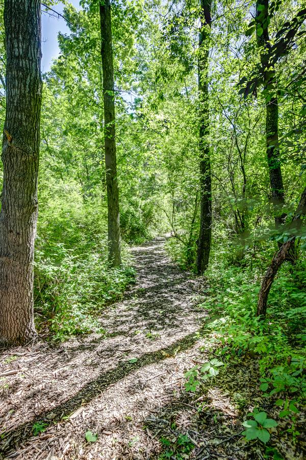 Heron Pointe Guest House - thumb 15