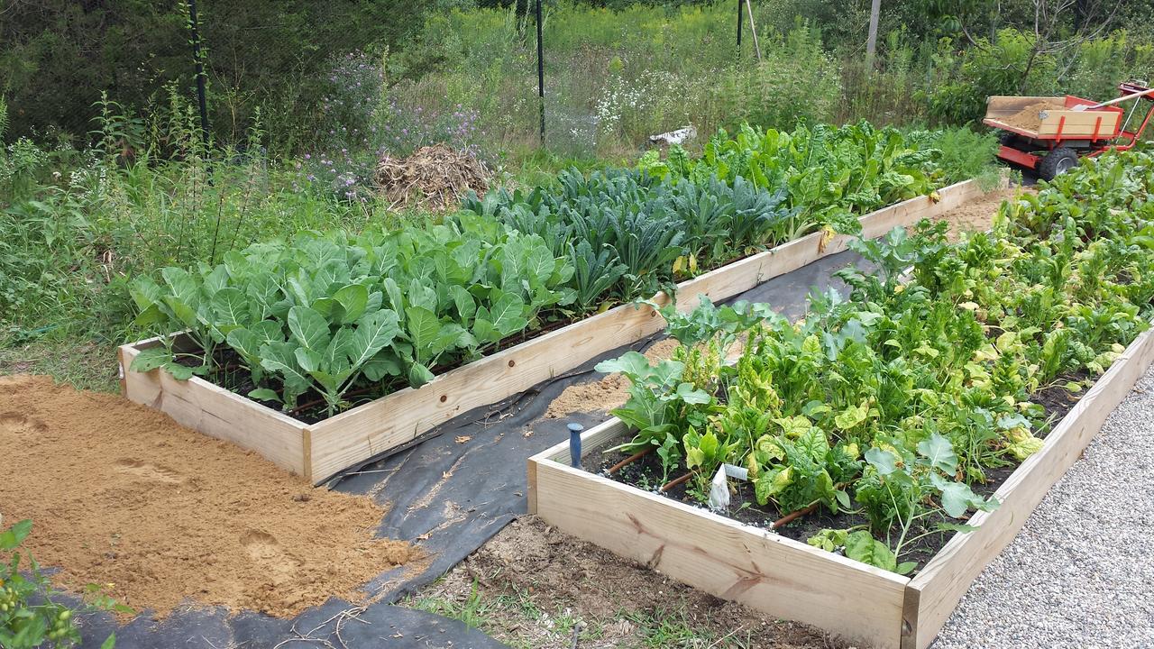 Heron Pointe Guest House - thumb 16