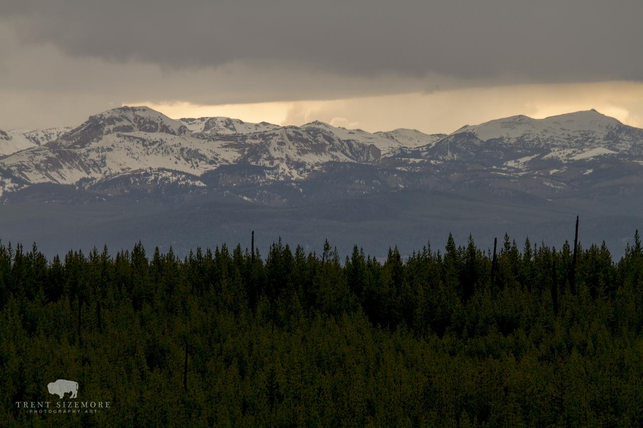 Faithful Street Inn - thumb 37