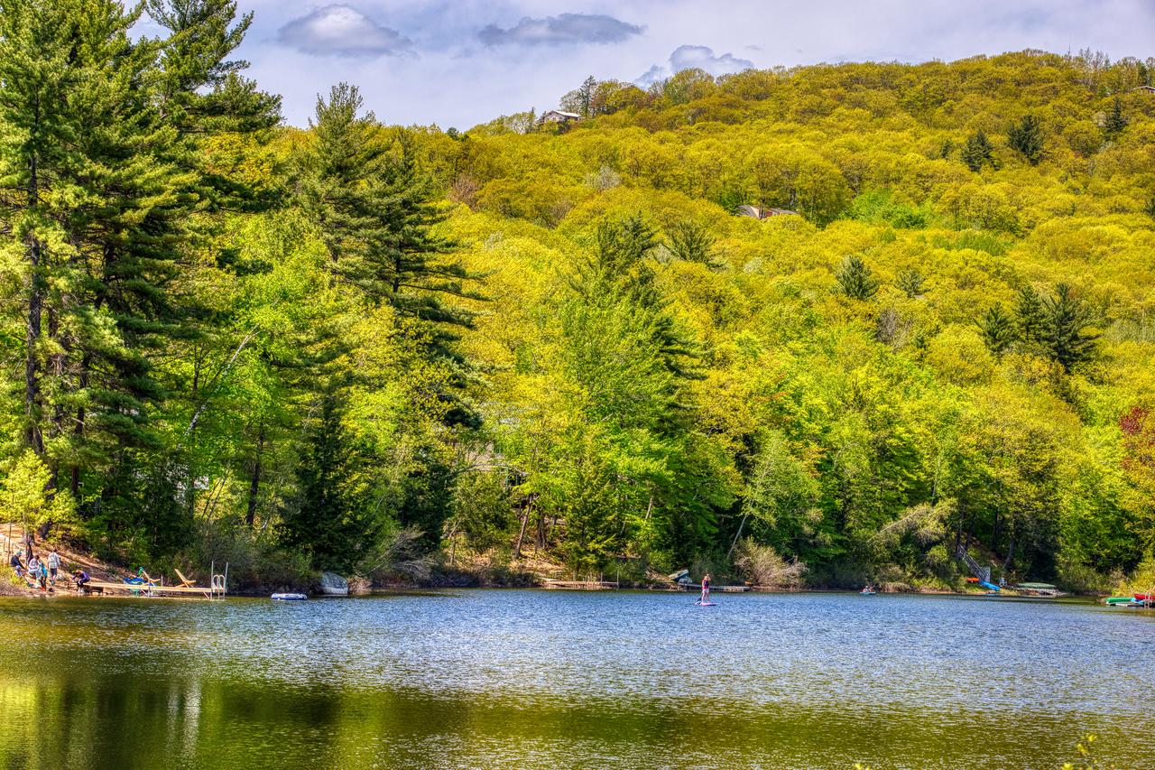 10 Geneva Place - thumb 38