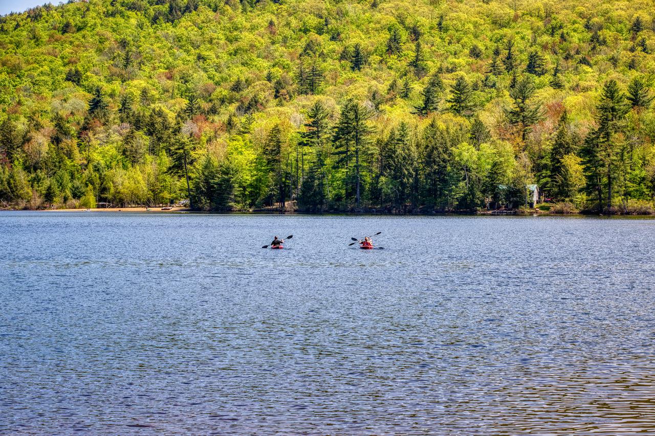 10 Geneva Place - thumb 37