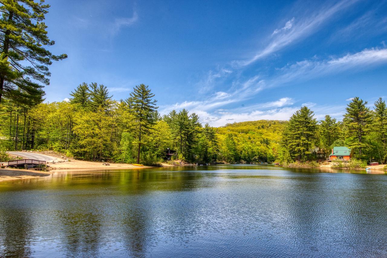 10 Geneva Place - thumb 0