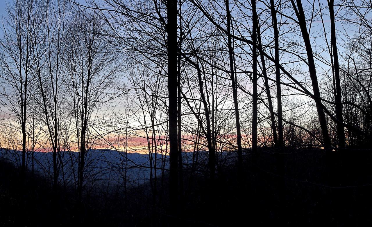 The Historic Ol Gun Range - thumb 26