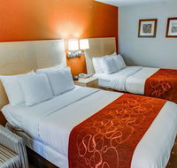 Comfort Suites Coraopolis - Accommodation Los Angeles