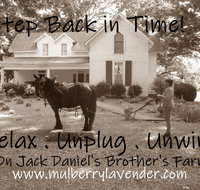 Mulberry Lavender Farm and BB - Accommodation Los Angeles