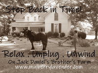 Booking Mulberry Accommodation Los Angeles