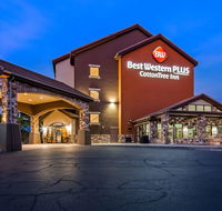 Best Western Plus Cotton Tree Inn - Accommodation Los Angeles