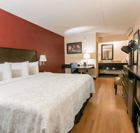 Red Roof Inn PLUS Washington DC - Manassas - Accommodation Los Angeles