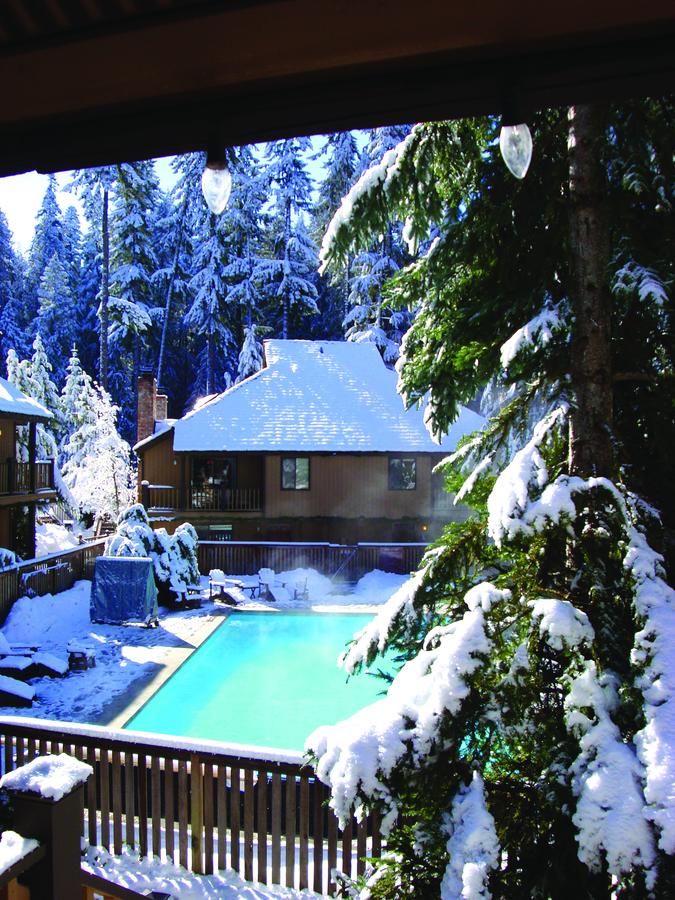 Alta Crystal Resort At Mt Rainier - thumb 0