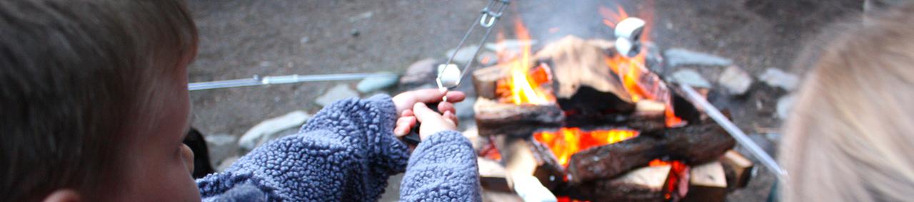 Alta Crystal Resort At Mt Rainier - thumb 10