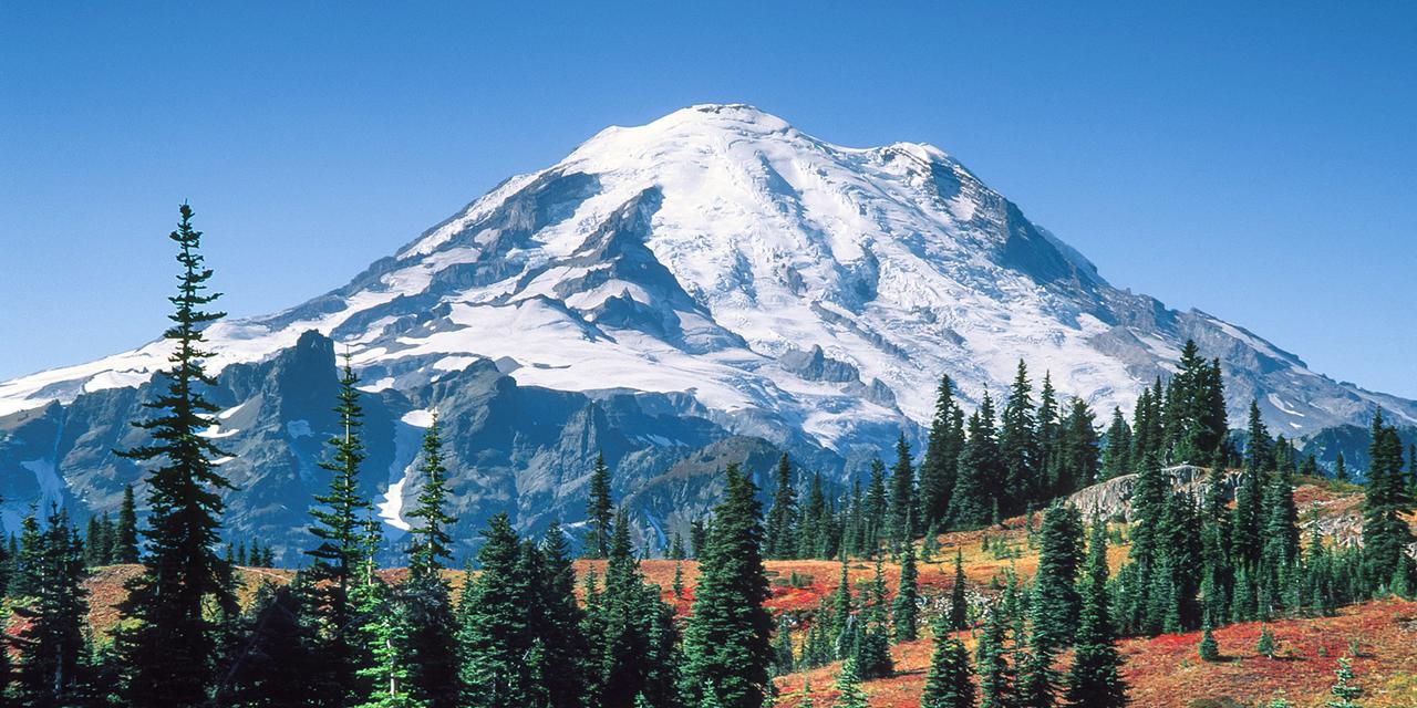 Alta Crystal Resort At Mt Rainier - thumb 24