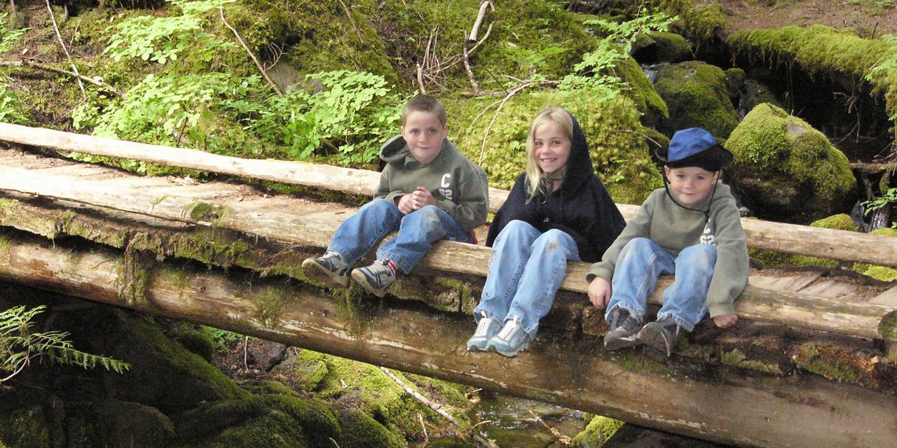 Alta Crystal Resort At Mt Rainier - thumb 2