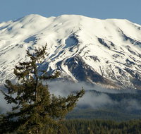 Lone Fir Resort - Accommodation Los Angeles