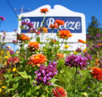 Bay Breeze Resort - Accommodation Los Angeles