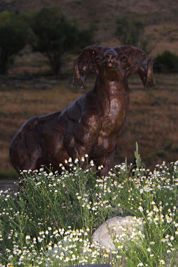 Flat Creek Inn - thumb 43