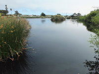 614 Airpark Accommodation Los Angeles