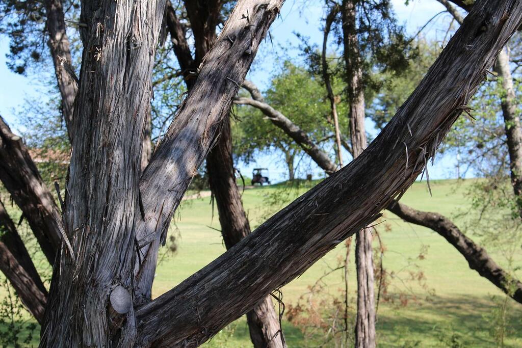 Backs To Lago Vista Golf Course - thumb 3