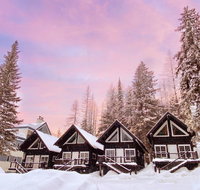 Black Bear Cabin #2 cabin - Accommodation Los Angeles