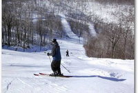 Book Claysburg Hotels, Accommodation Los Angeles Accommodation Los Angeles