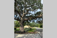 Charming House 3 Blocks from Beach Accommodation Los Angeles