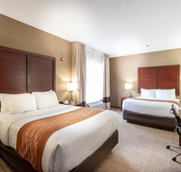 Comfort Inn & Suites Love Field  Dallas Market Center - Accommodation Los Angeles