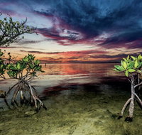 Conch Key Fishing Lodge & Marina - Accommodation Los Angeles