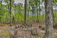 Deep Creek Cabin with 2 Acres 8Mi to Wisp Ski Resort Accommodation Los Angeles