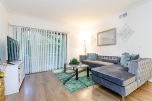 Downtown LA Apartment